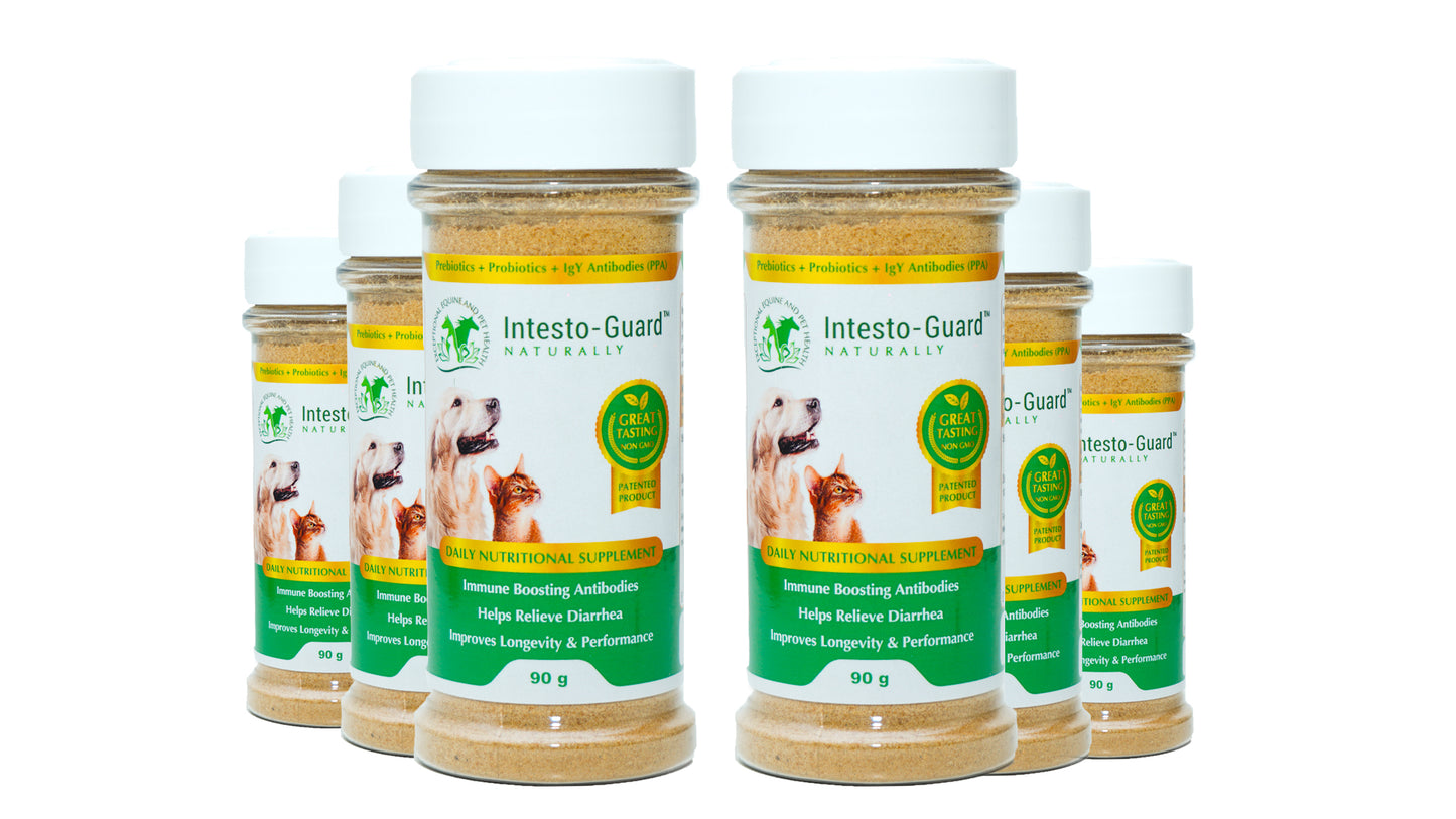 Intesto Guard 180g Probiotic Powder For Dogs & Cats