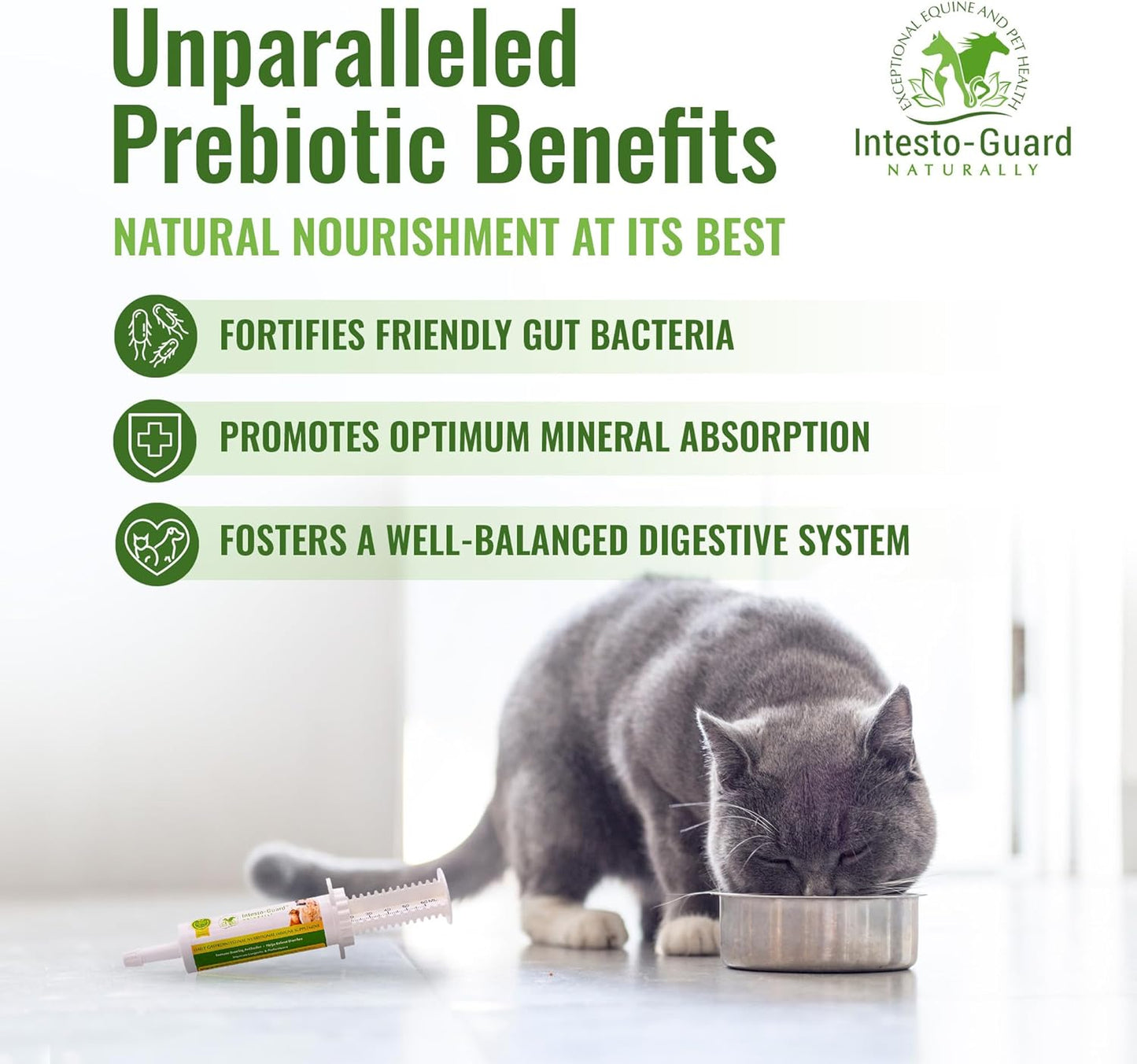 Intesto Guard Probiotic Paste For Dogs & Cats