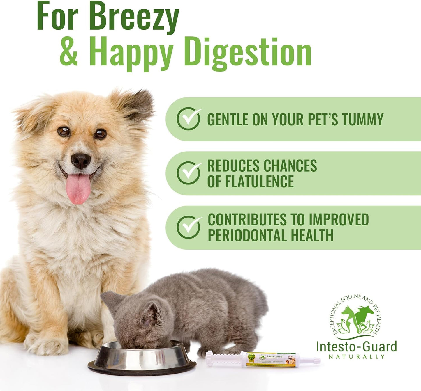 Intesto Guard Probiotic Paste For Dogs & Cats