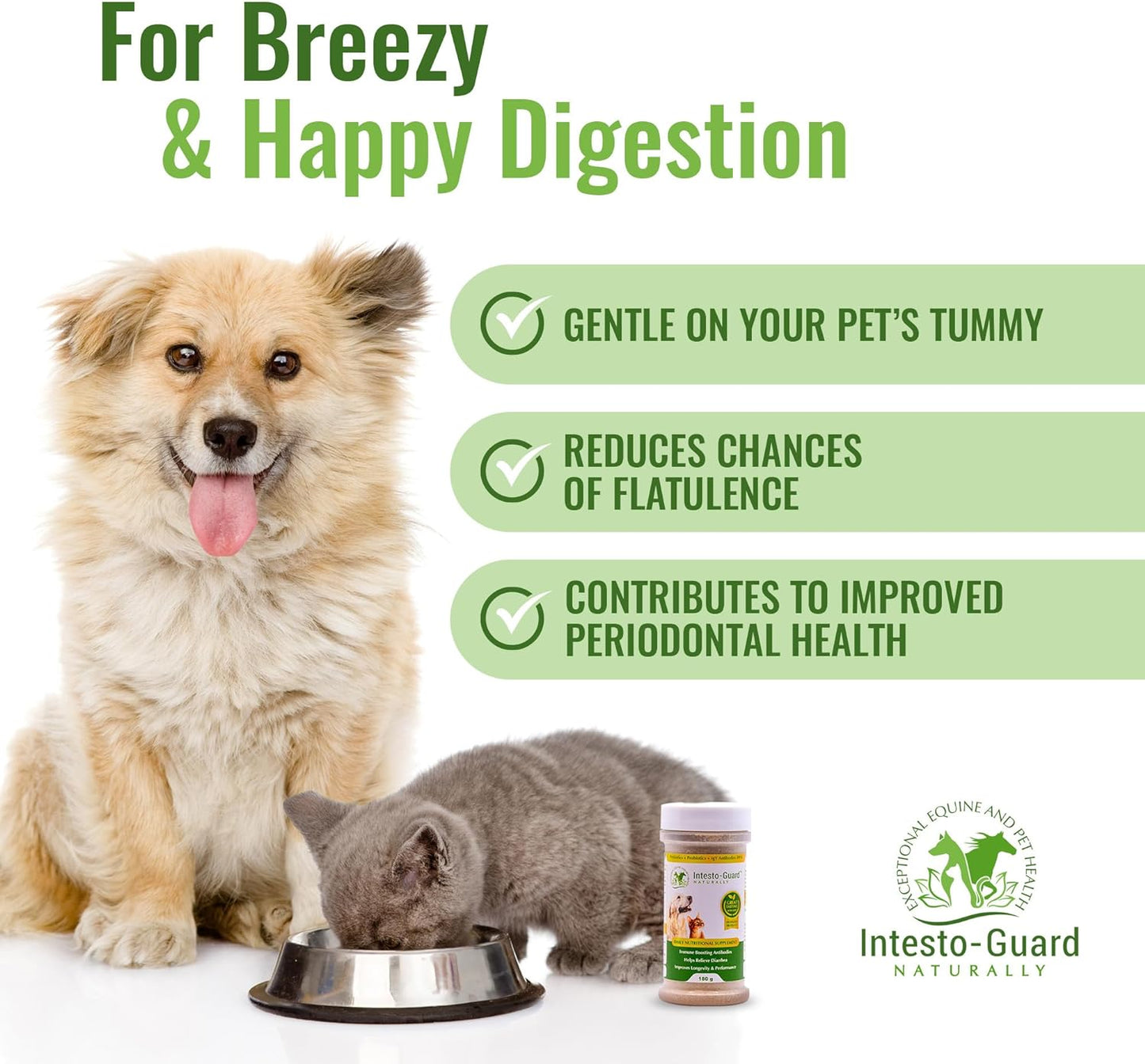 Intesto Guard 180g Probiotic Powder For Dogs & Cats