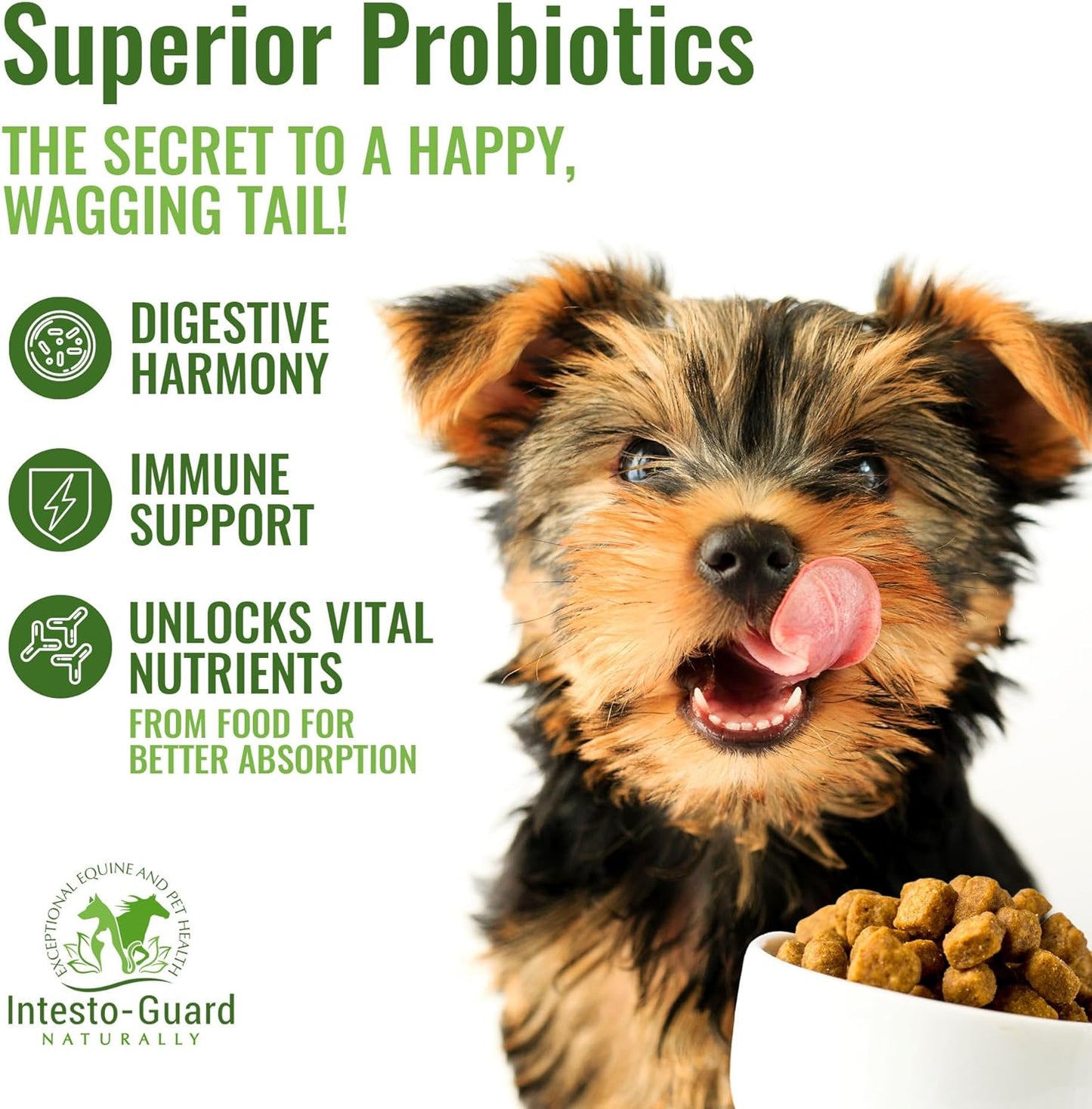 Intesto Guard 180g Probiotic Powder For Dogs & Cats