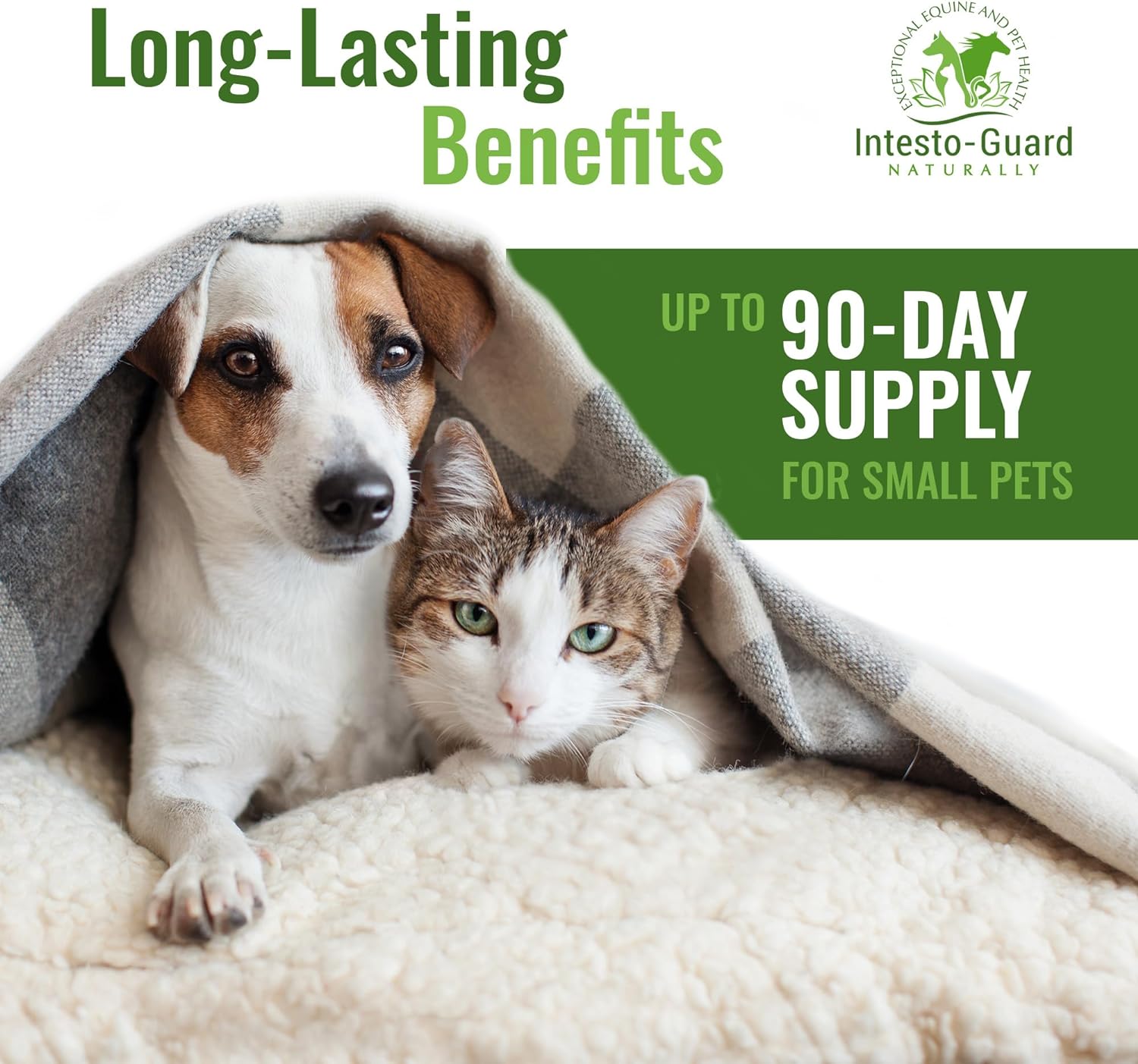 prebiotics for puppies