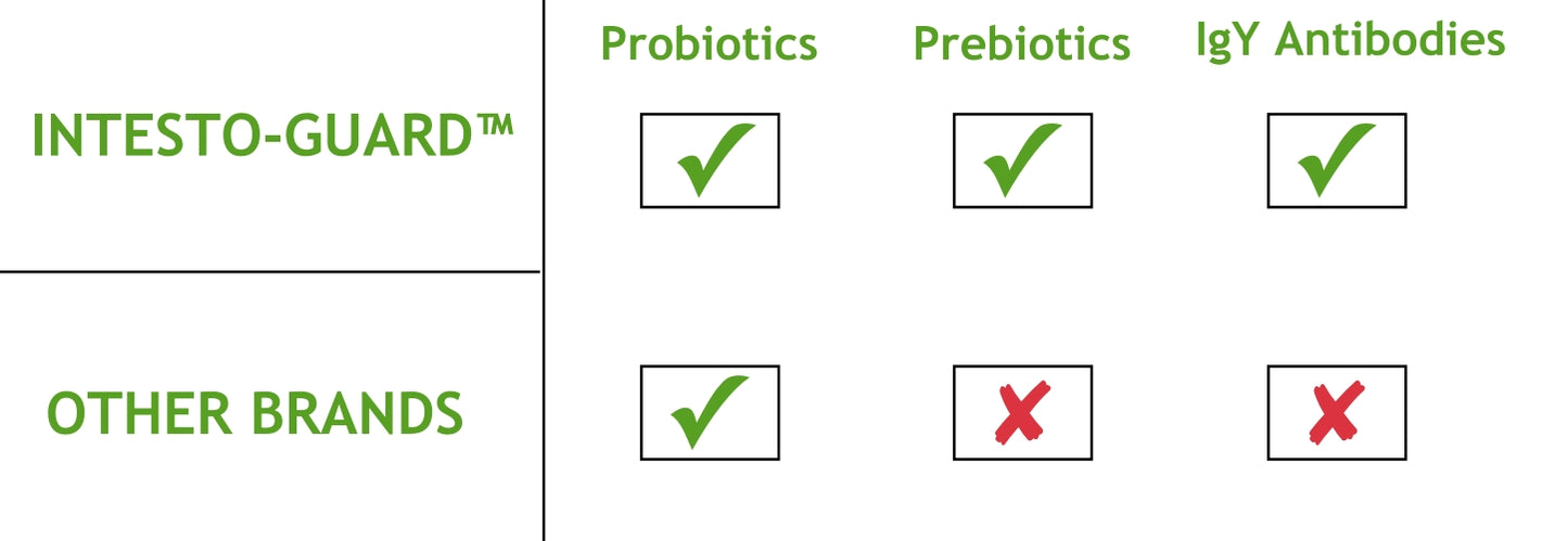 prebiotics for horses