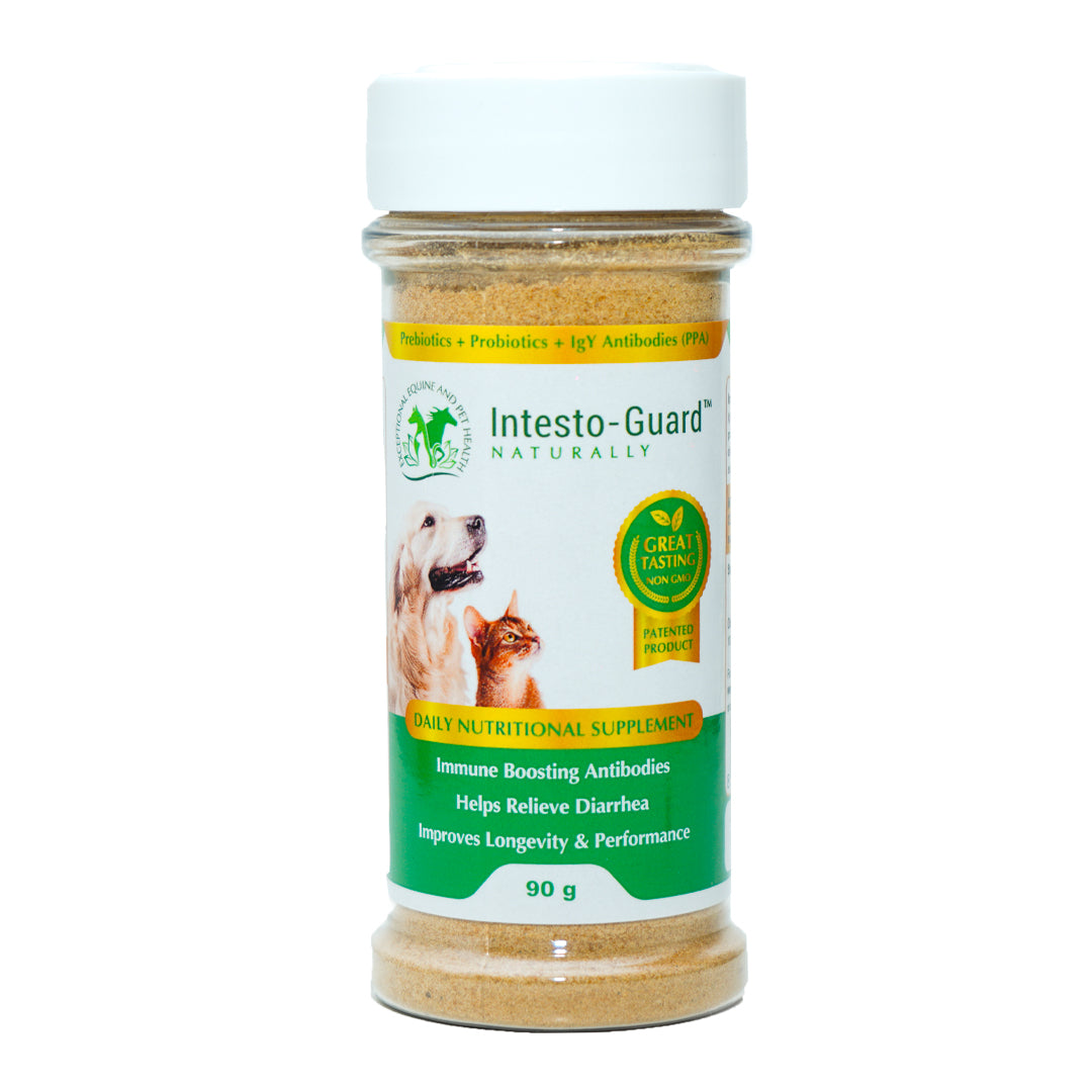 Intesto Guard 180g Probiotic Powder For Dogs & Cats