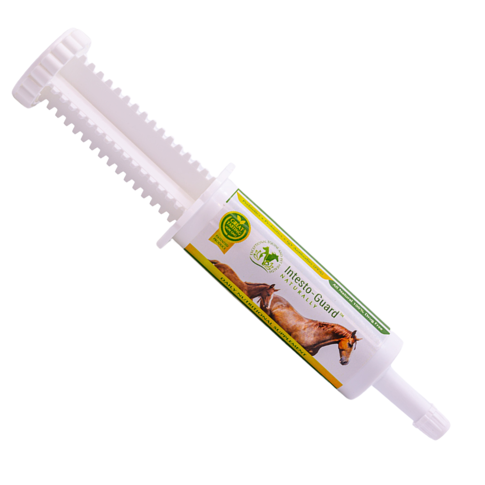 probiotics for horses