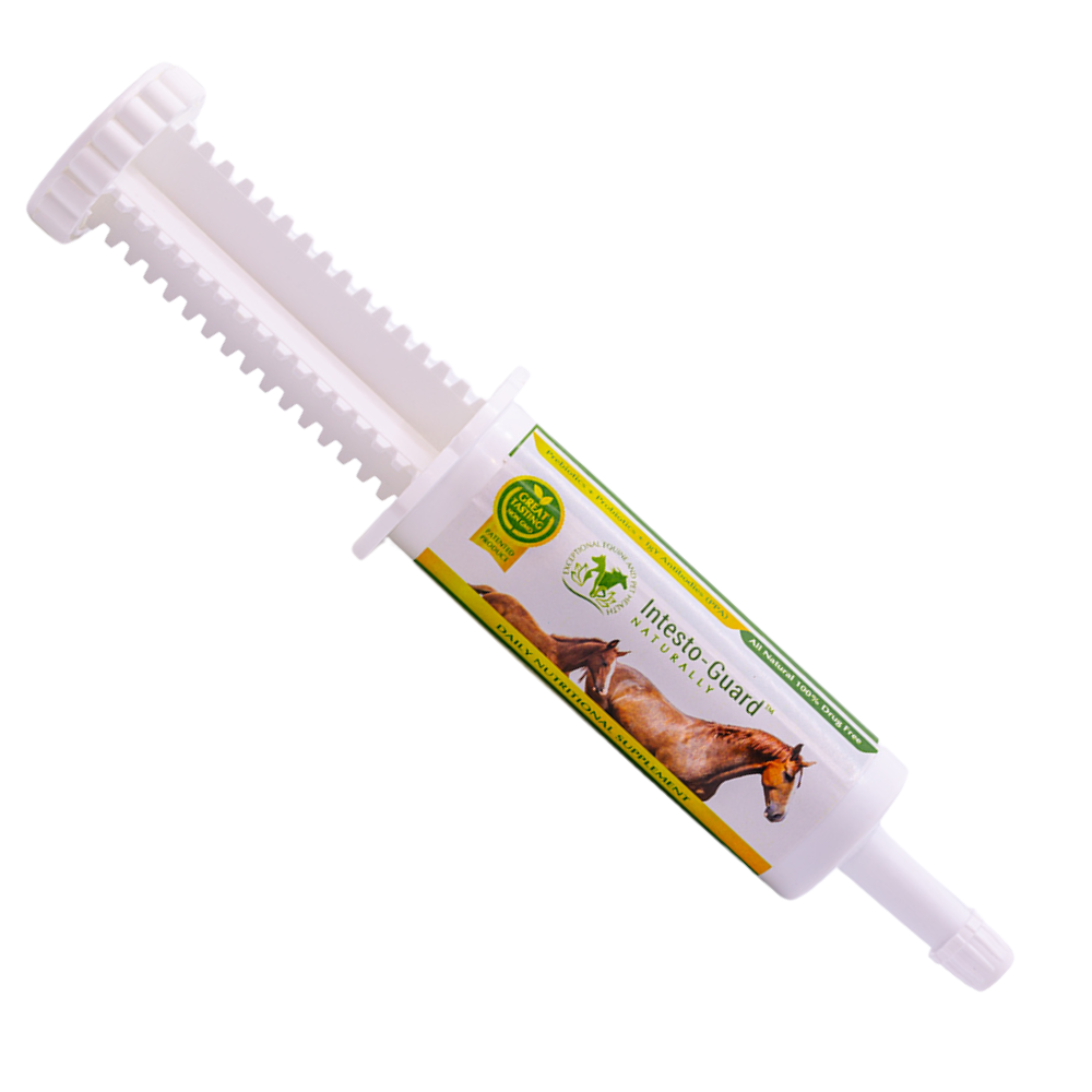 Equine 60CC Probiotic Paste